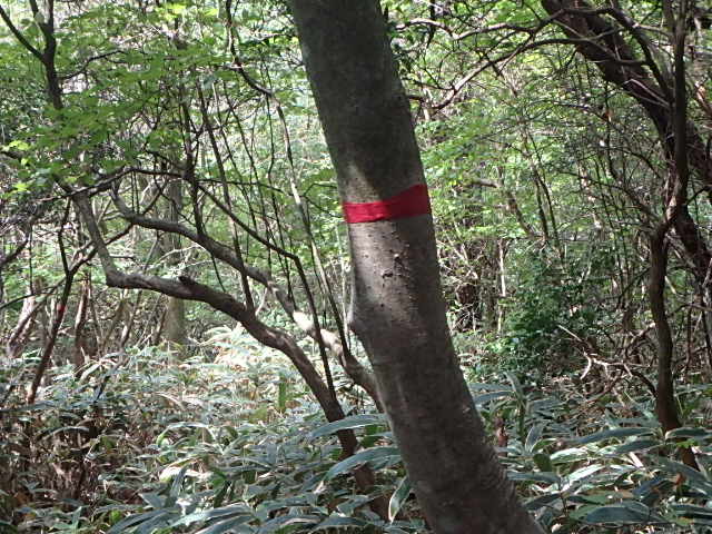 f0334143_2145993.jpg