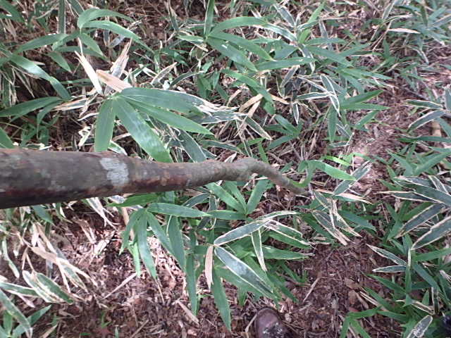 f0334143_21465195.jpg