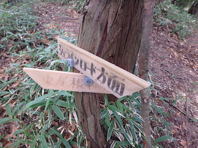 f0334143_21475873.jpg