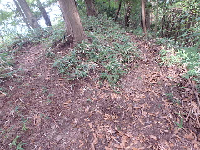 f0334143_2149493.jpg