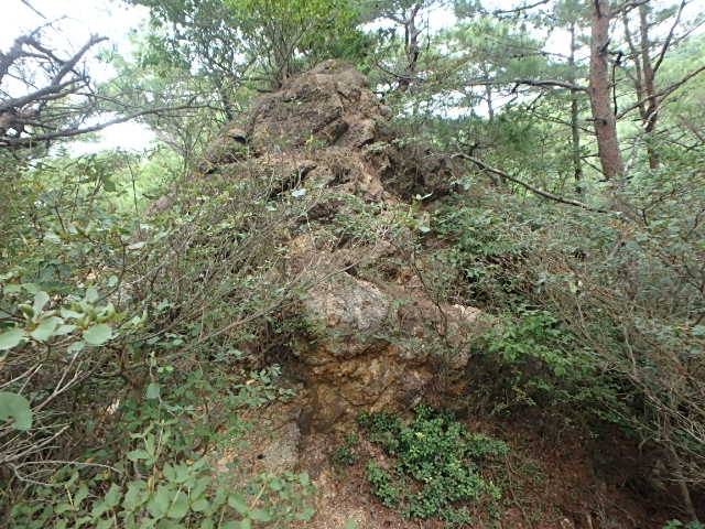f0334143_21504087.jpg
