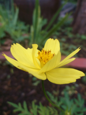 c0006745_06532822.jpg