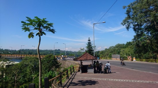 Jembatan Tukad Bangkungで待ち合わせ ＠ Pelaga, Badung (\'18年6月)_d0368045_3593539.jpg