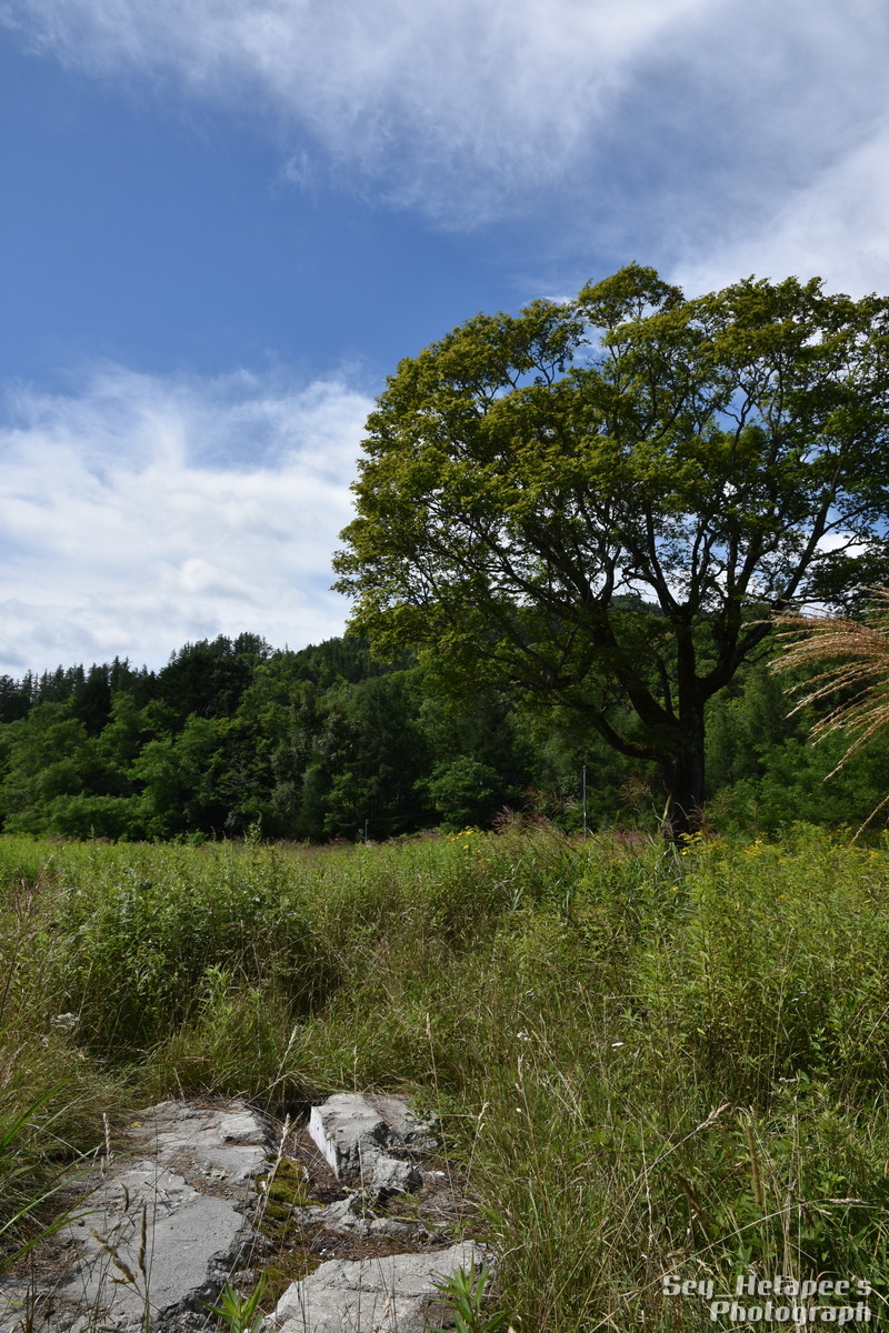f0166545_21115982.jpg