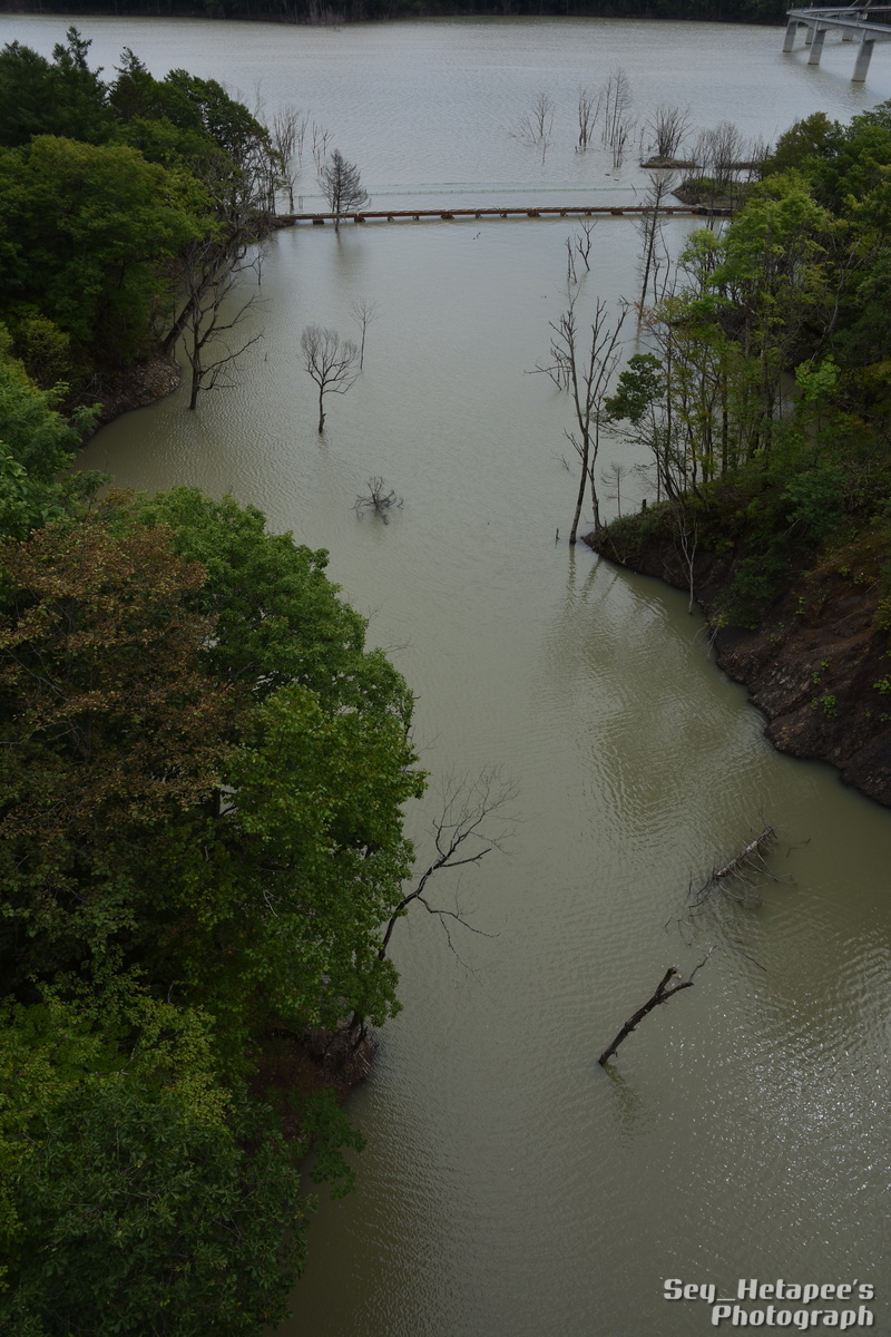 f0166545_21130483.jpg