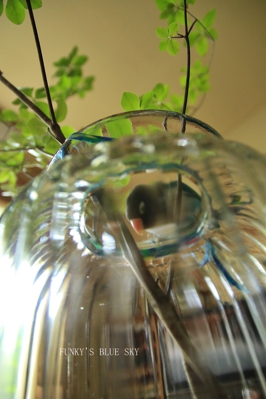 c0145250_09332079.jpg