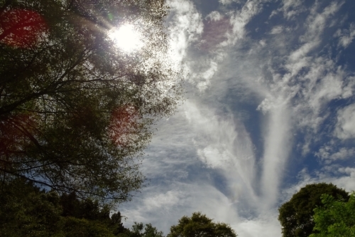 f0164450_17132720.jpg