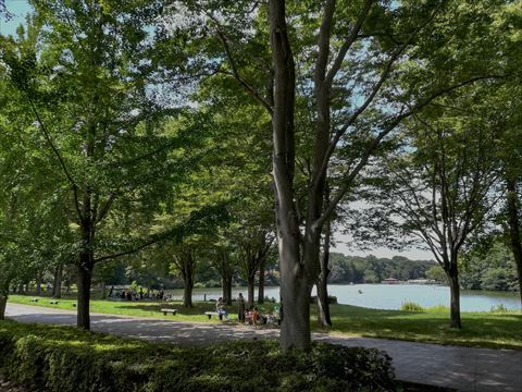 b0220251_21061791.jpg