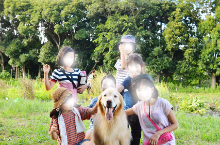 純粋なココロ_f0044853_11474434.jpg