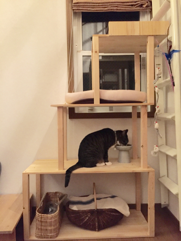 Diy初心者でも簡単にできる手づくりキャットタワー キジシロ猫のいる暮らし トム