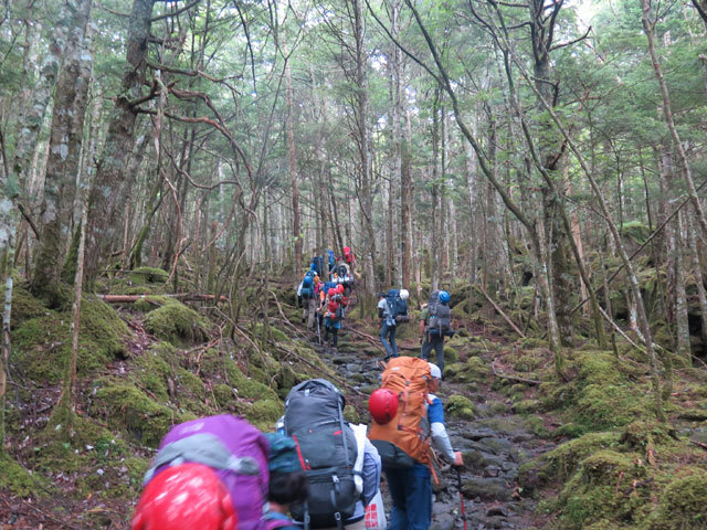 2018年8月11日　八ヶ岳・阿弥陀岳（2,805m・長野県茅野市）_c0116856_06423690.jpg