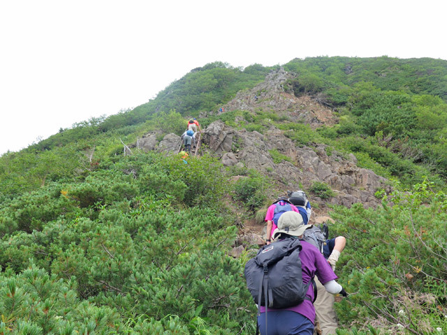 2018年8月11日　八ヶ岳・阿弥陀岳（2,805m・長野県茅野市）_c0116856_06461392.jpg