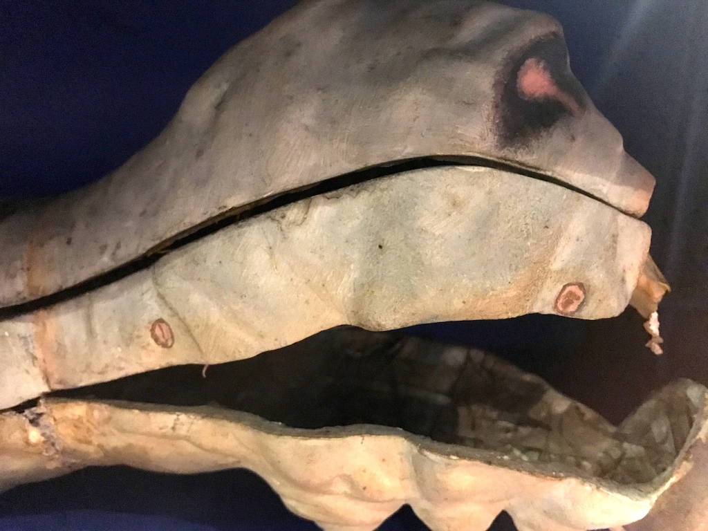 パドヴァの昆虫博物館 Esapolis_a0087957_01322910.jpg