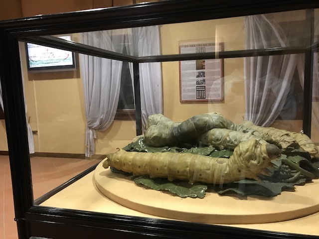 パドヴァの昆虫博物館 Esapolis_a0087957_01323009.jpg