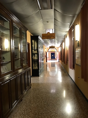 パドヴァの昆虫博物館 Esapolis_a0087957_01323058.jpg