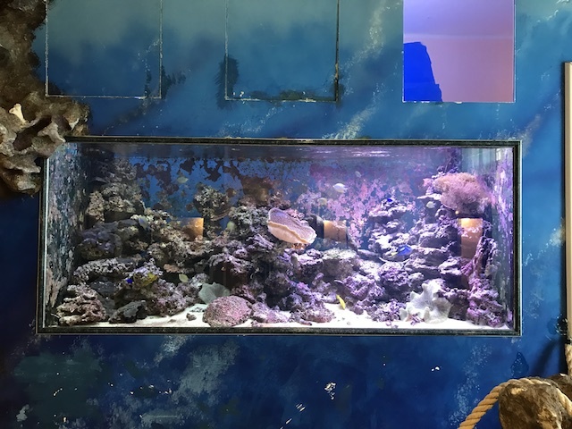 パドヴァの昆虫博物館 Esapolis_a0087957_01323911.jpg