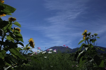 a0208560_16541323.jpg