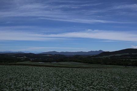a0208560_16550367.jpg