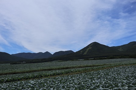 a0208560_16550921.jpg