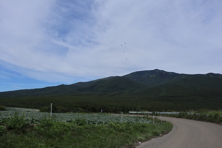 a0208560_16551447.jpg