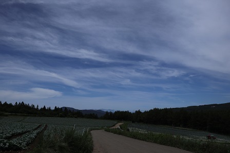 a0208560_16551914.jpg