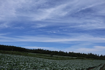 a0208560_16552579.jpg