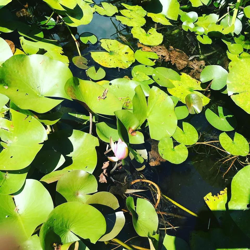 c0115560_11082826.jpg