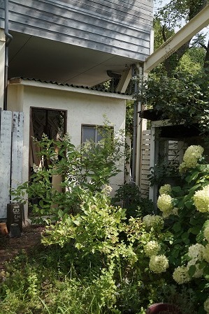 カフェミモザガーデンdiyその4 Mimosa Garden Diary