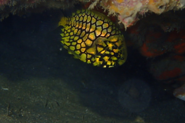 f0164662_14452241.jpg