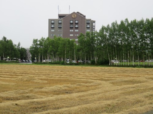 f0259373_14371991.jpg
