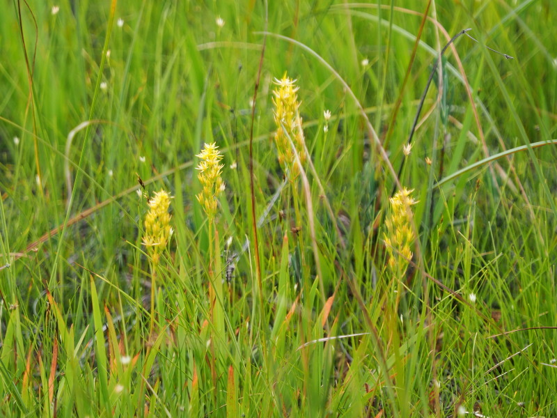 f0372177_17501759.jpg