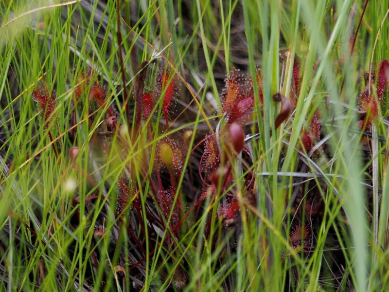 f0372177_18014688.jpg