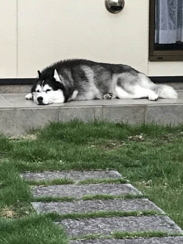 f0315081_21350340.jpeg