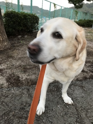 f0315081_21361621.jpeg