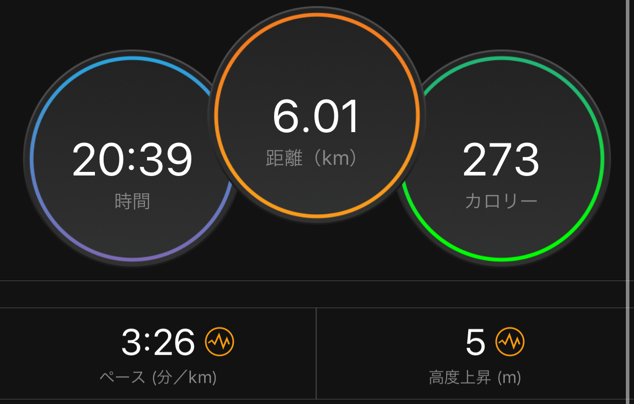 今日の閾値走は涼しいおかげ?_f0310282_20543806.jpeg