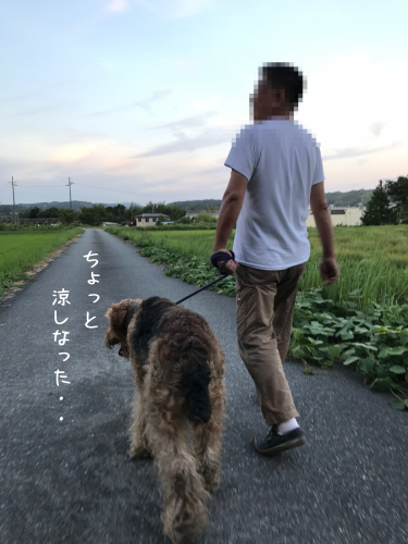 a0216583_23211559.png