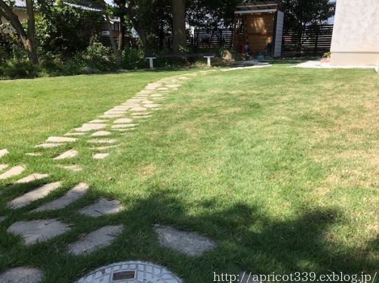 夏の庭しごと　玄関前の雑草対策_c0293787_20353328.jpg