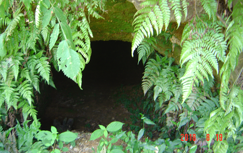 f0198787_18321255.png