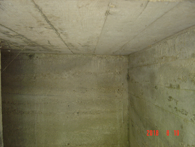 f0198787_18344685.png