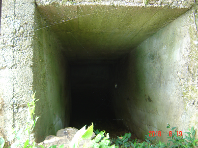 f0198787_18445861.png