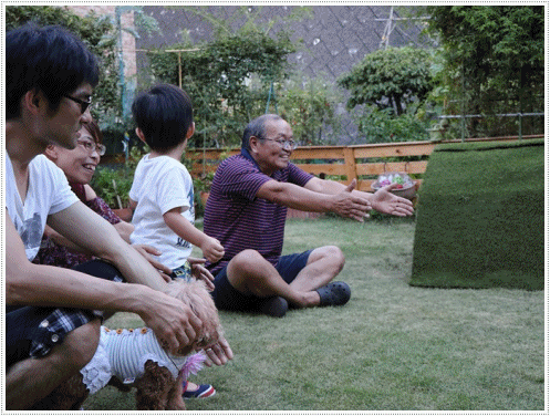 b0175688_16534212.gif