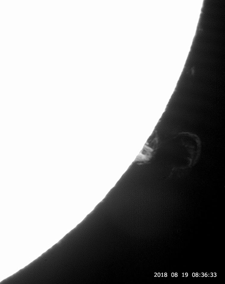 e0174091_10245836.jpg