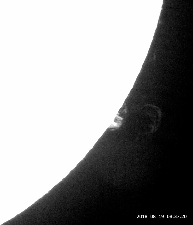 e0174091_10250530.jpg