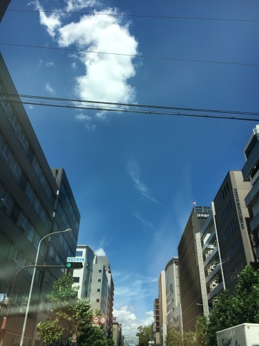 f0347891_01364064.jpeg
