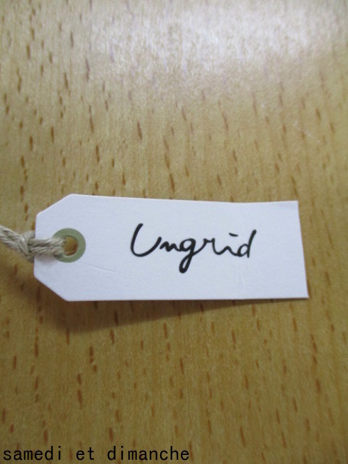 アングリッド UNGRID  ネイティブモチーフリング NO:111840923201_e0076692_20052466.jpg