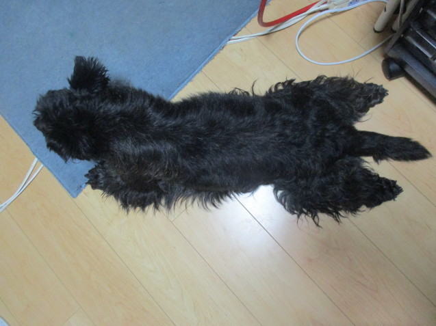 a0091796_20470276.jpeg