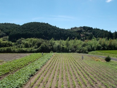 f0308898_09493954.jpg
