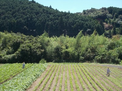 f0308898_09500028.jpg