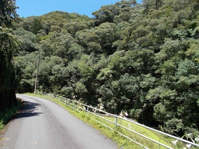 f0308898_10153044.jpg