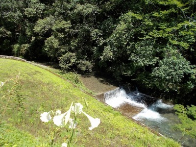 f0308898_10154150.jpg